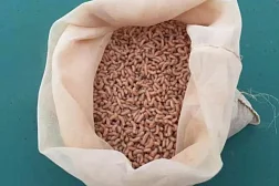 Опарыш белый для рыбалки 1 литр