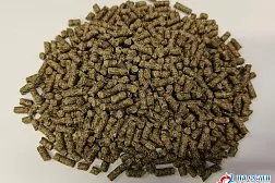 Комбикорм для карповых рыб К-111 (1 кг) Истра