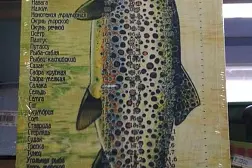 Доска разделочная сувенирная Рыба