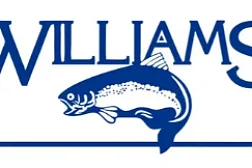 Блесна форелевая Williams WABLER W40