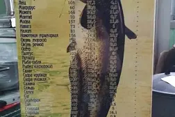 Доска разделочная сувенирная Рыба