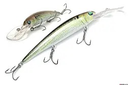 Воблер German GG Bandit 120 mm, 19.5 g